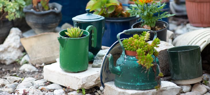 old recycled plant pots