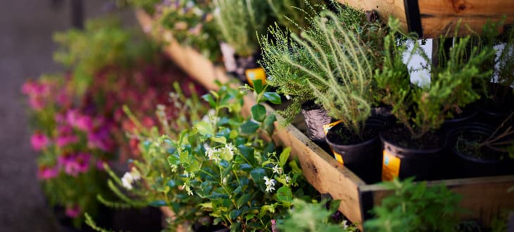 vertical plant pots