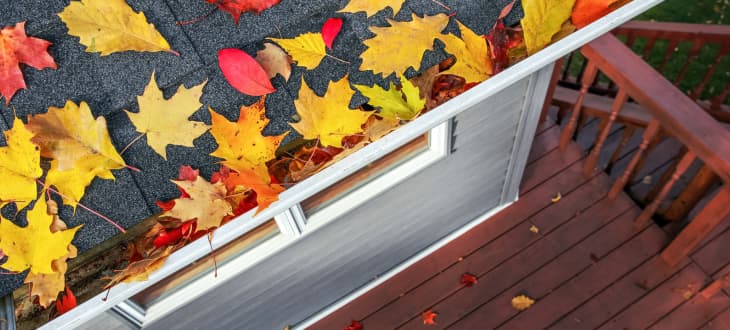 leaves on roof and decking