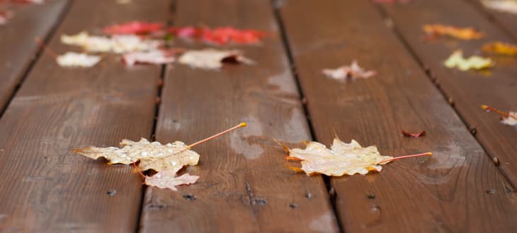 leaves on decking