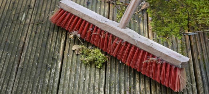 cleaning algae off of leaves