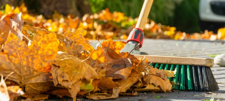 sweeping leaves
