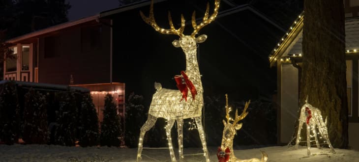 fairy light reindeer decorations in the snow