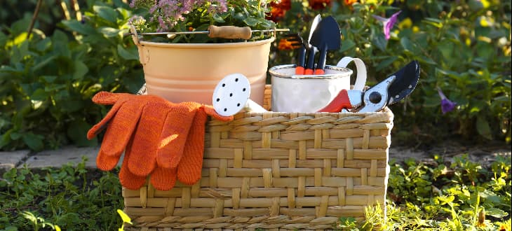 gardening tools in basket