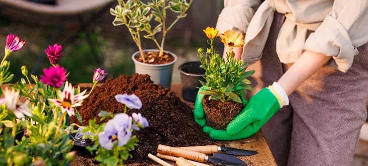 woman planting flowers