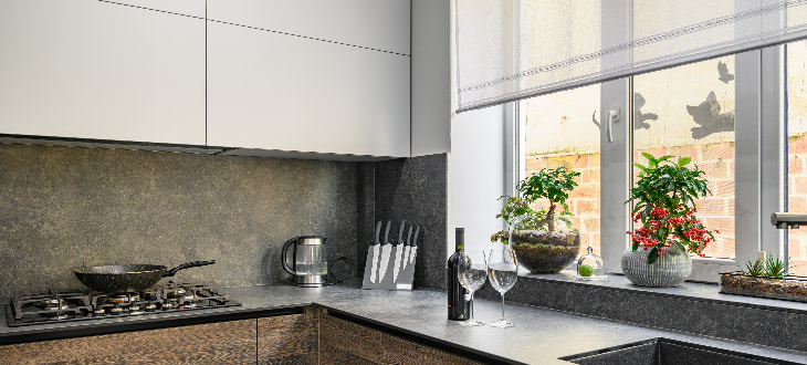 plants in kitchen