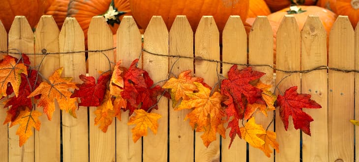 halloween decoration on timber fencing