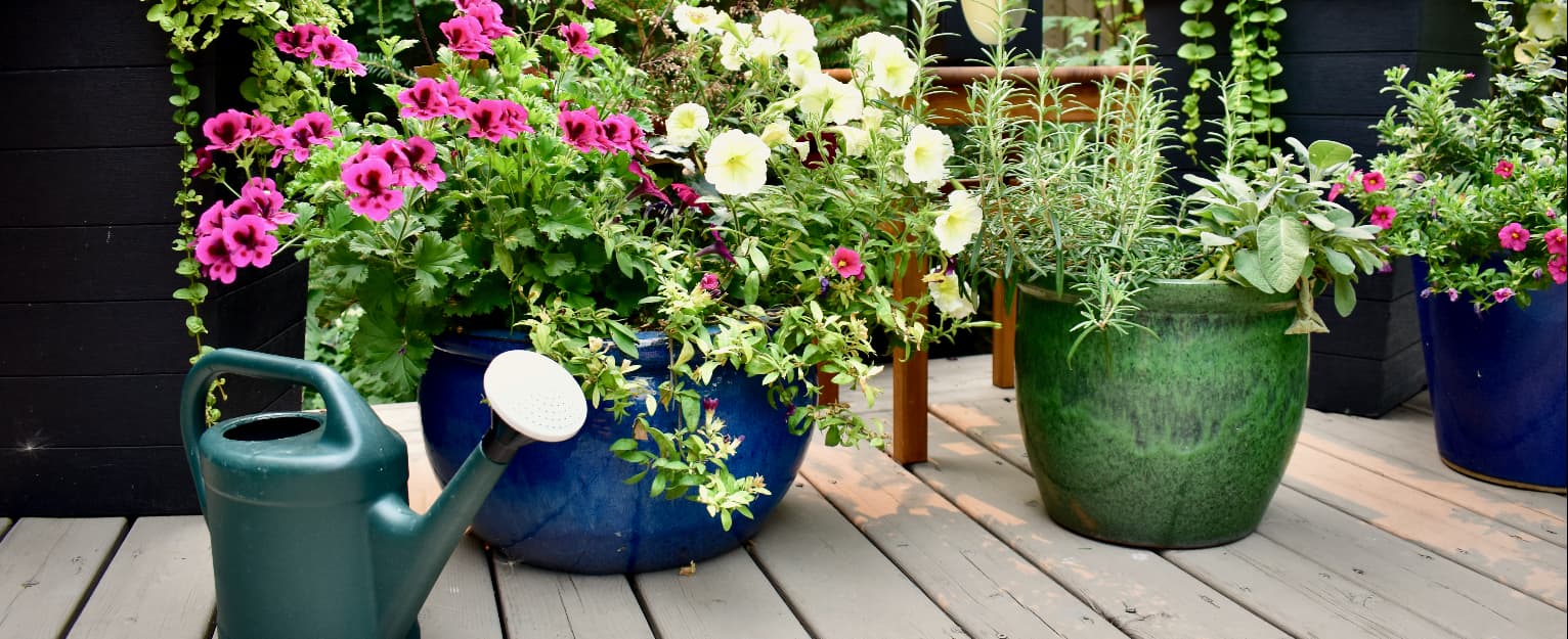 recycled plant pots, consisting of watering cans, buckets and more