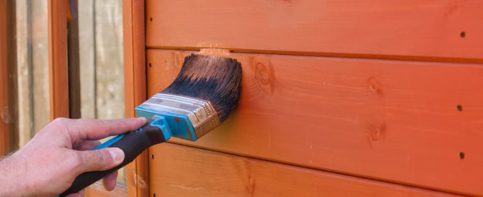 Staining a shed