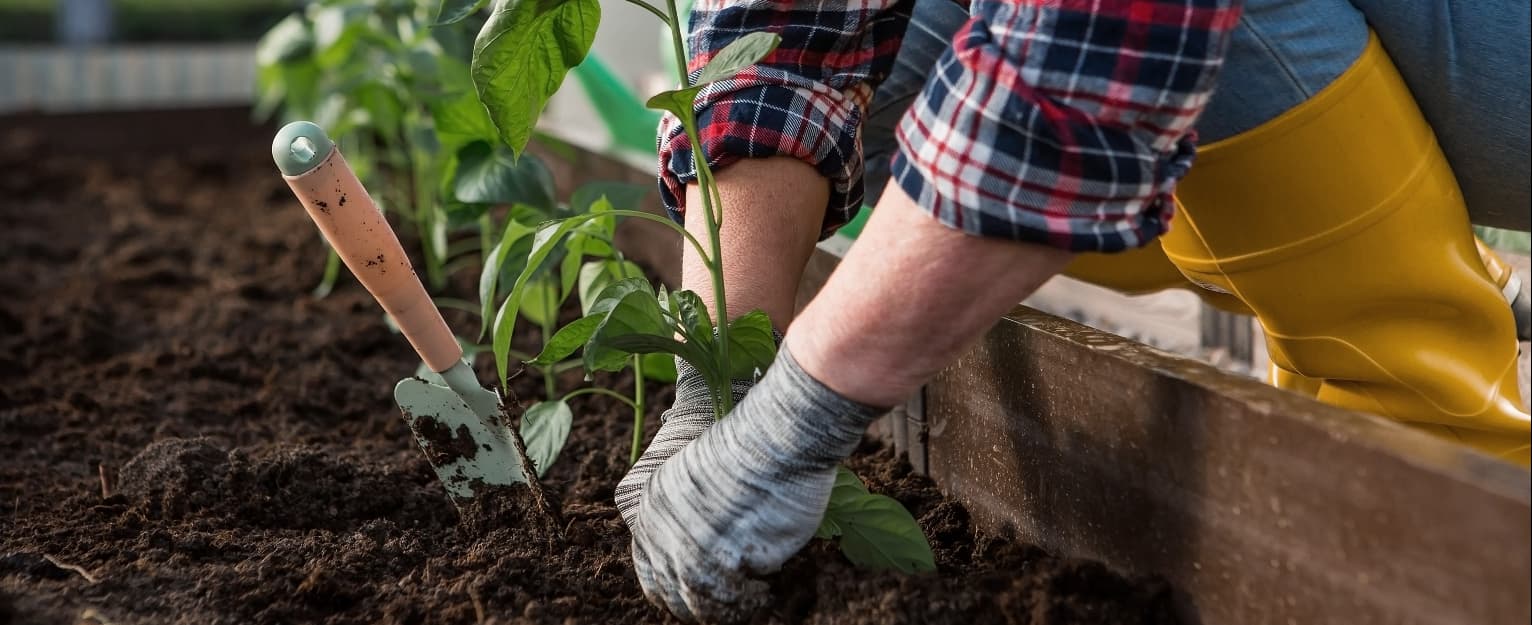 elderly woman gardening