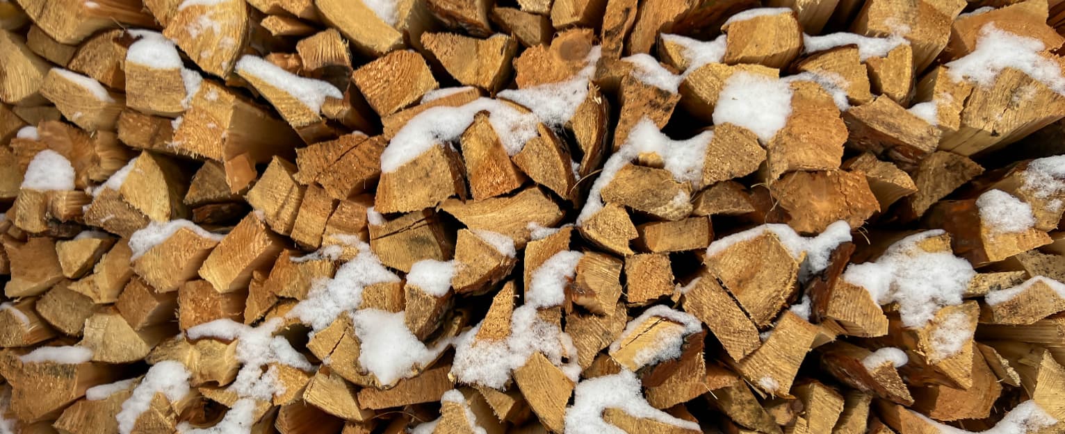 pile of timber logs in winter
