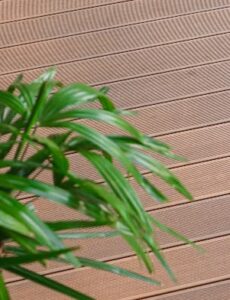 close up shot of garden decking with greenery to the side